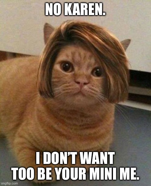 Cat manager hairstyle | NO KAREN. I DON’T WANT TOO BE YOUR MINI ME. | image tagged in cat manager hairstyle | made w/ Imgflip meme maker