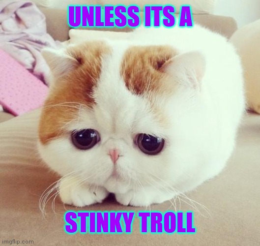 Sad Cat | UNLESS ITS A STINKY TROLL | image tagged in sad cat | made w/ Imgflip meme maker