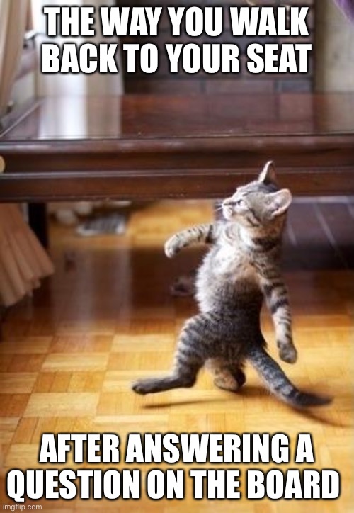Cool Cat Stroll |  THE WAY YOU WALK BACK TO YOUR SEAT; AFTER ANSWERING A QUESTION ON THE BOARD | image tagged in memes,cool cat stroll | made w/ Imgflip meme maker