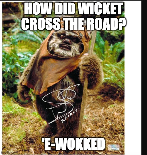 Wicket the Ewok | HOW DID WICKET CROSS THE ROAD? 'E-WOKKED | image tagged in star wars,ewoks | made w/ Imgflip meme maker