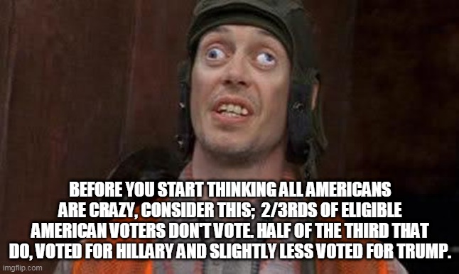 Crazy Eyes | BEFORE YOU START THINKING ALL AMERICANS ARE CRAZY, CONSIDER THIS;  2/3RDS OF ELIGIBLE AMERICAN VOTERS DON'T VOTE. HALF OF THE THIRD THAT DO, VOTED FOR HILLARY AND SLIGHTLY LESS VOTED FOR TRUMP. | image tagged in crazy eyes | made w/ Imgflip meme maker