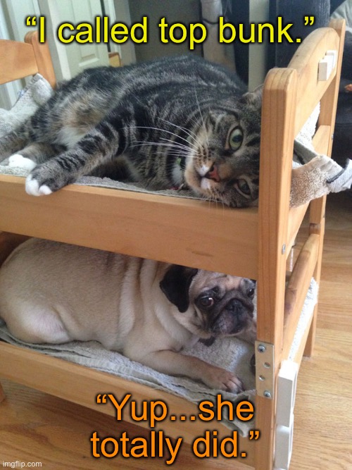 “I called top bunk.”; “Yup...she totally did.” | made w/ Imgflip meme maker