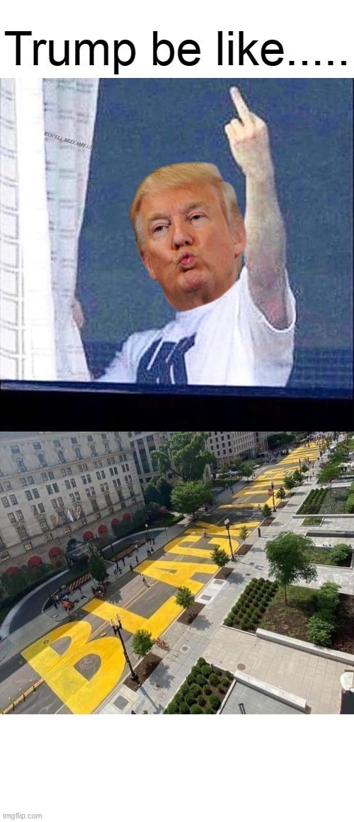 Trump Black Lives Matter Street Painting | image tagged in trump black lives matter street painting | made w/ Imgflip meme maker