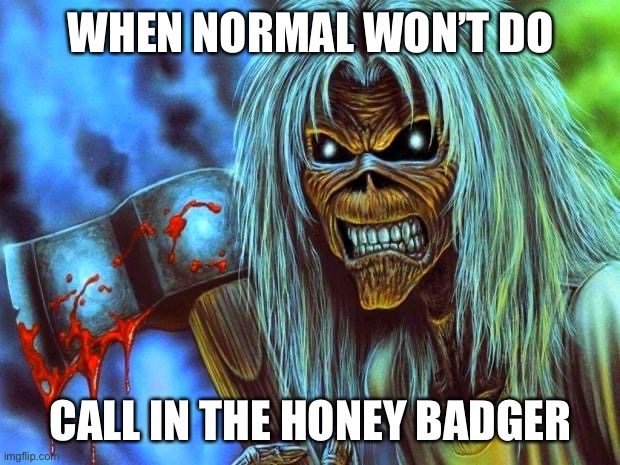 Iron Maiden Eddie | WHEN NORMAL WON’T DO; CALL IN THE HONEY BADGER | image tagged in iron maiden eddie | made w/ Imgflip meme maker