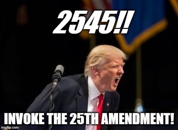 2545 invoke | image tagged in 25th amendment,trump,unhinged | made w/ Imgflip meme maker