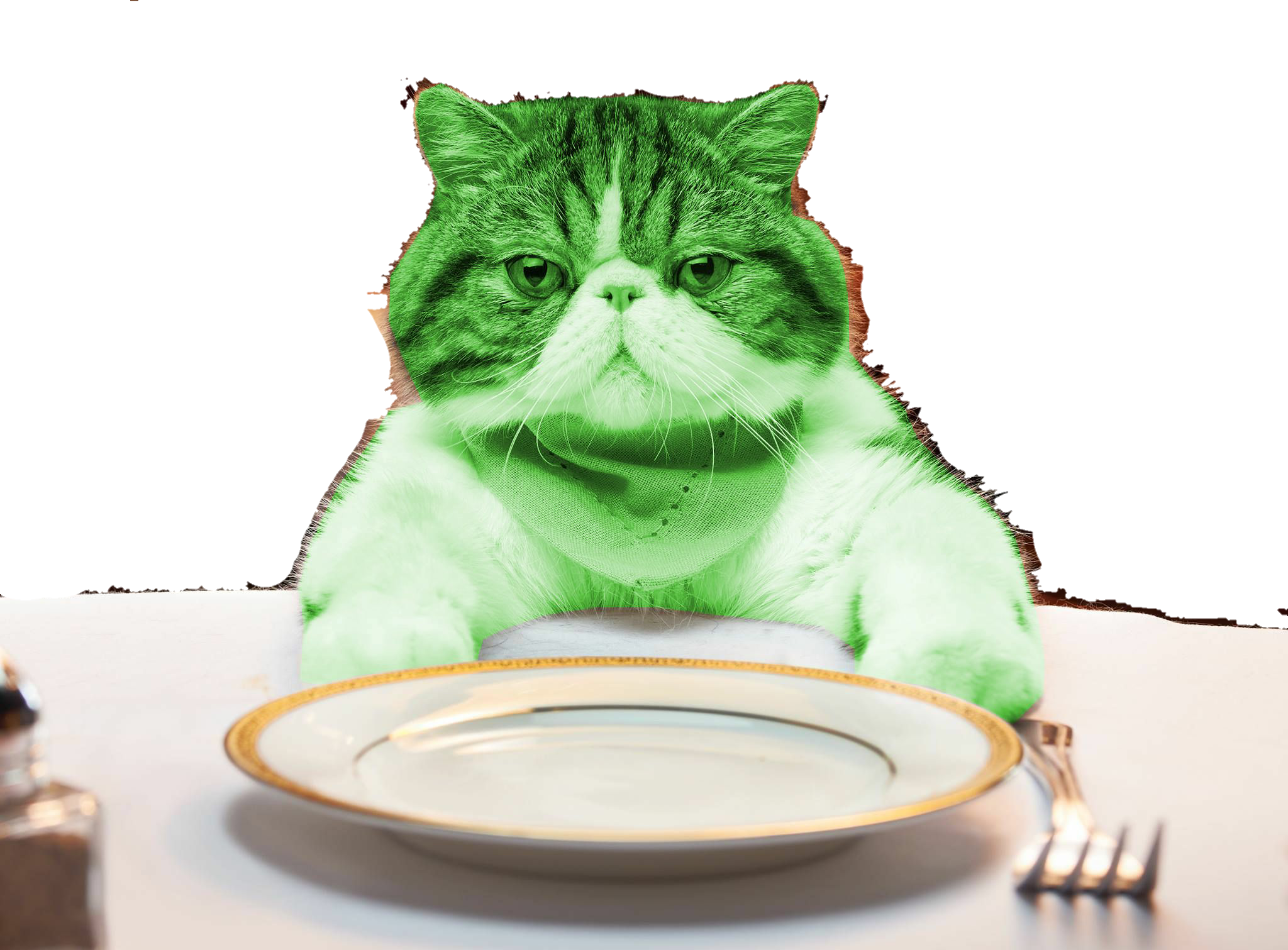 High Quality Hungry RayCat sticker Blank Meme Template