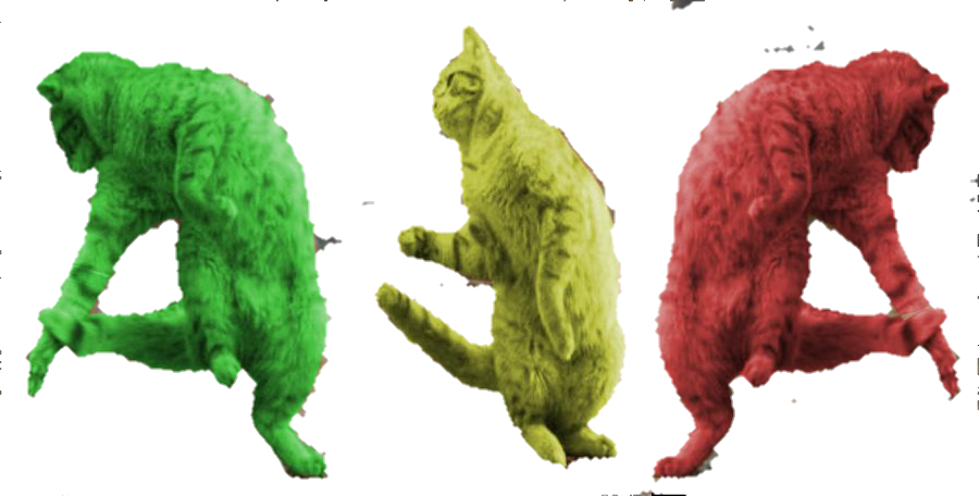 Three Dancing RayCat sticker Blank Meme Template