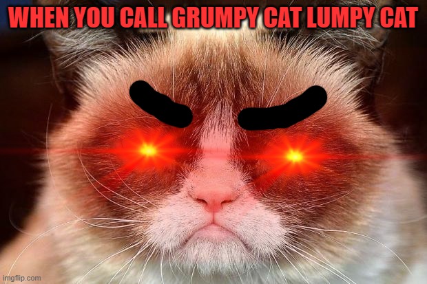 WHEN YOU CALL GRUMPY CAT LUMPY CAT | image tagged in yayeet | made w/ Imgflip meme maker