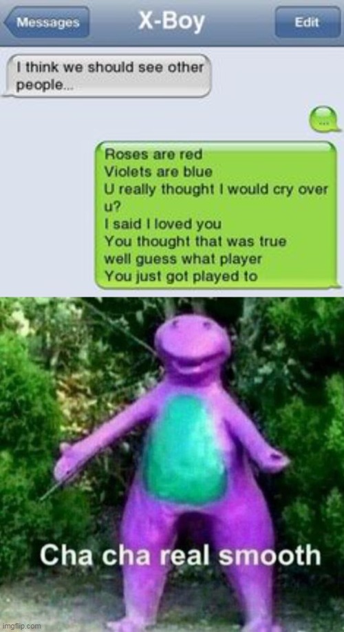 cha cha | image tagged in funny memes | made w/ Imgflip meme maker