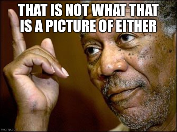 This Morgan Freeman | THAT IS NOT WHAT THAT IS A PICTURE OF EITHER | image tagged in this morgan freeman | made w/ Imgflip meme maker