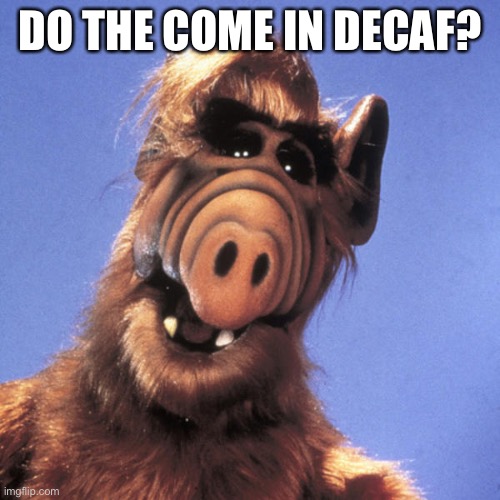 Alf  | DO THE COME IN DECAF? | image tagged in alf | made w/ Imgflip meme maker
