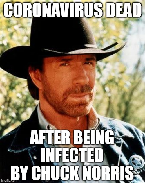 Chuck Norris | CORONAVIRUS DEAD; AFTER BEING INFECTED BY CHUCK NORRIS | image tagged in memes,chuck norris | made w/ Imgflip meme maker
