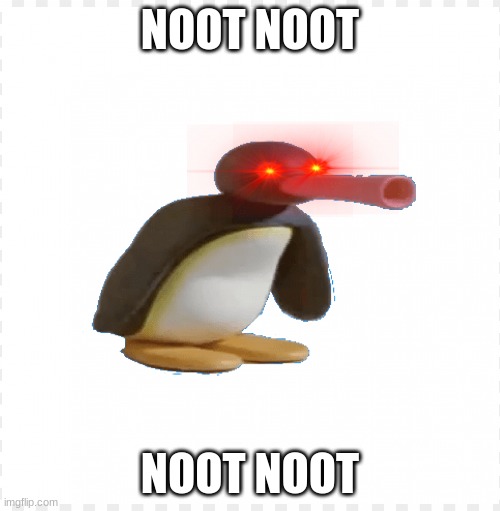 noot noot | NOOT NOOT; NOOT NOOT | image tagged in noot noot,pingu,lol so funny,epic,oh wow are you actually reading these tags,stop reading the tags | made w/ Imgflip meme maker