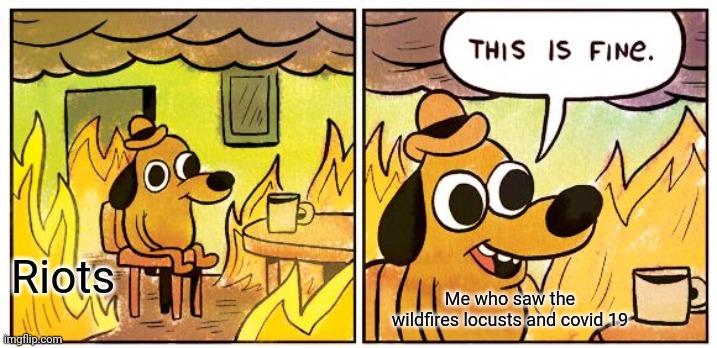 This Is Fine Meme | Riots; Me who saw the wildfires locusts and covid 19 | image tagged in memes,this is fine | made w/ Imgflip meme maker