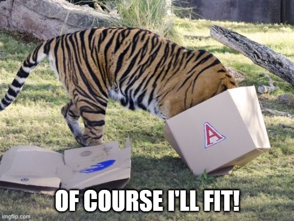 I don't like your chances buddy. | OF COURSE I'LL FIT! | image tagged in cat,tiger,box,funny memes,cute kitty | made w/ Imgflip meme maker
