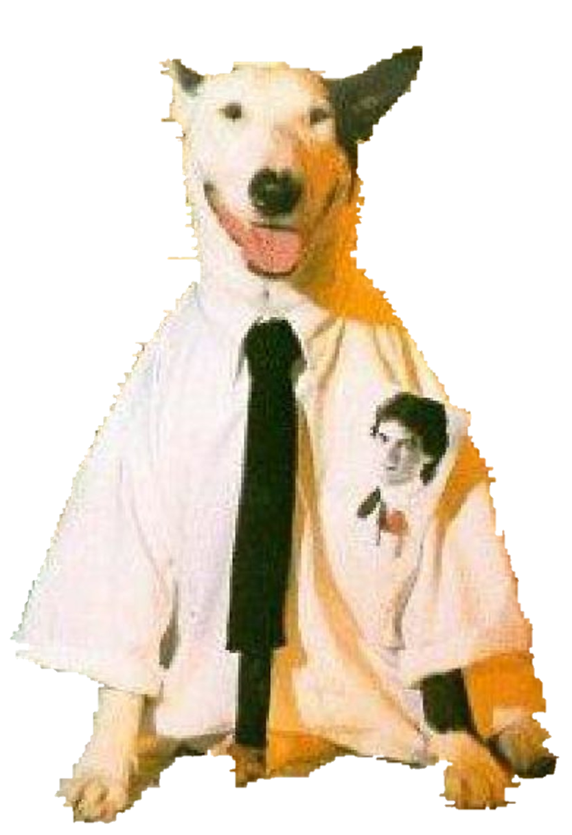Working Class Dog sticker Blank Meme Template
