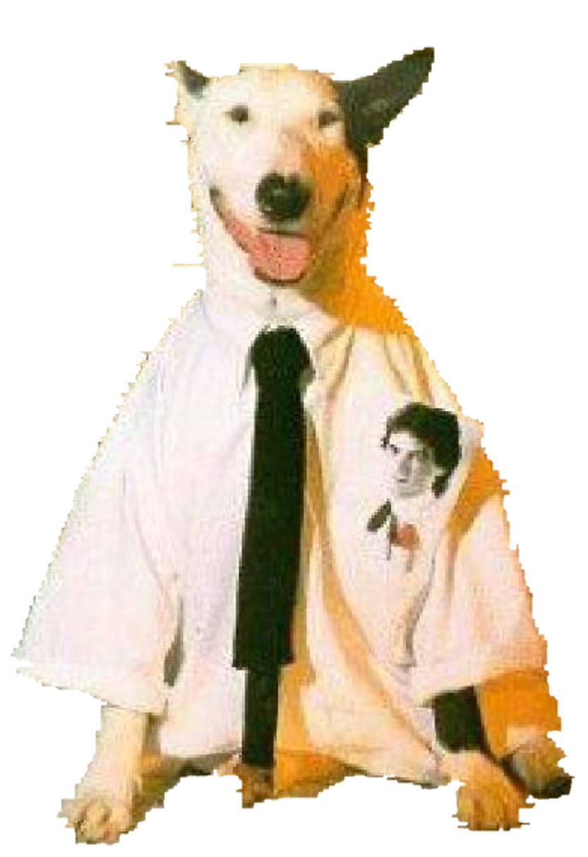 Working Class Dog Sticker Blank Template Imgflip