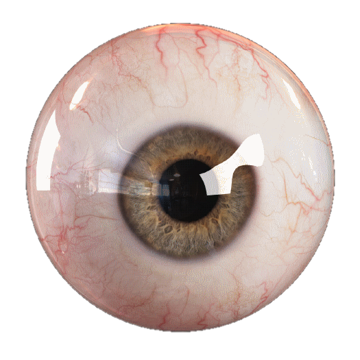 Eyeball sticker Blank Template - Imgflip