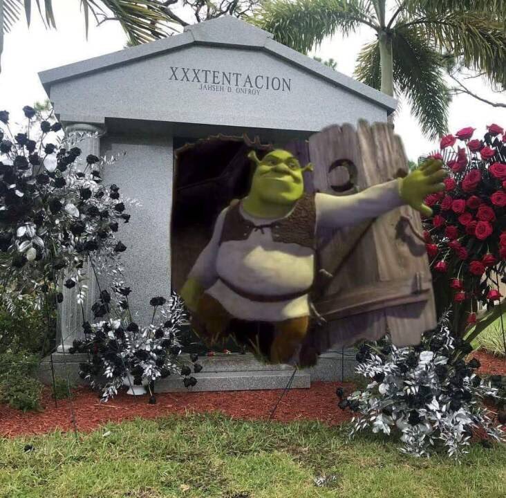 Shrek XXXTENTACION Blank Meme Template