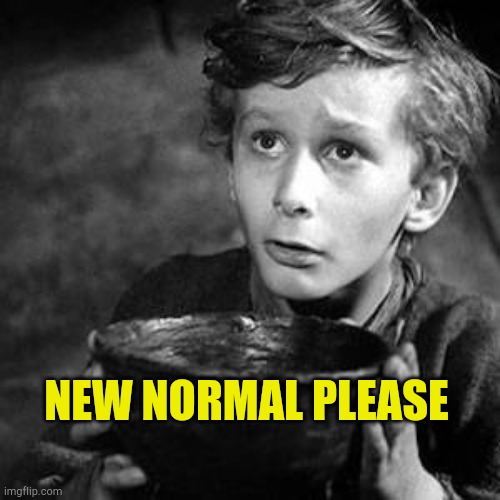 New Normal Please | NEW NORMAL PLEASE | image tagged in new normal please,brainwashed,hoax,covid,2020 | made w/ Imgflip meme maker