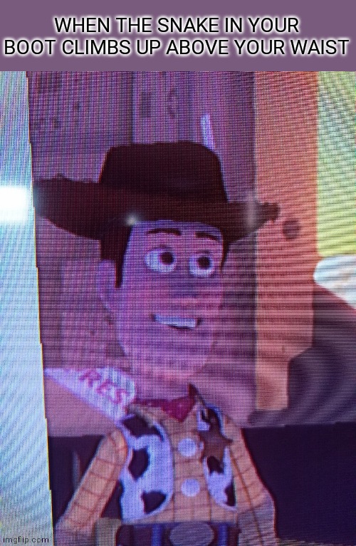 Smiling Woody | WHEN THE SNAKE IN YOUR BOOT CLIMBS UP ABOVE YOUR WAIST | image tagged in smiling woody | made w/ Imgflip meme maker