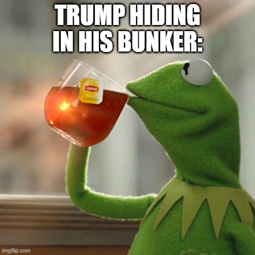 But That's None Of My Business | TRUMP HIDING IN HIS BUNKER: | image tagged in memes,but that's none of my business,kermit the frog | made w/ Imgflip meme maker