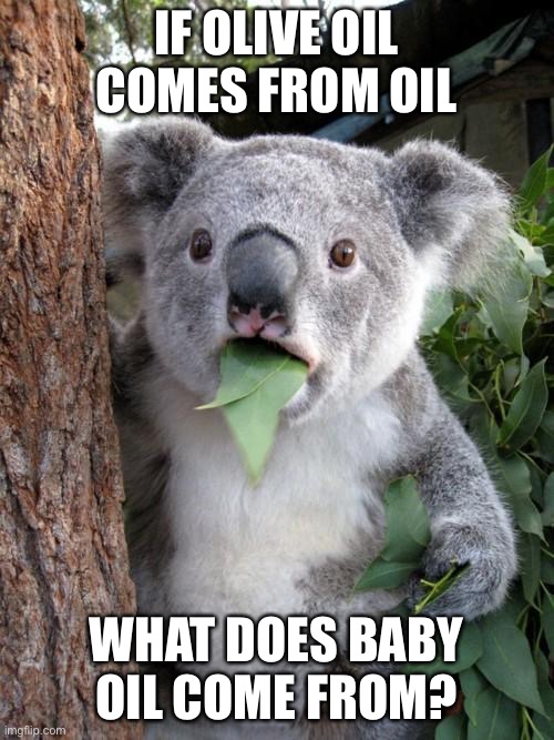 Oh no | IF OLIVE OIL COMES FROM OIL; WHAT DOES BABY OIL COME FROM? | image tagged in memes,surprised koala | made w/ Imgflip meme maker