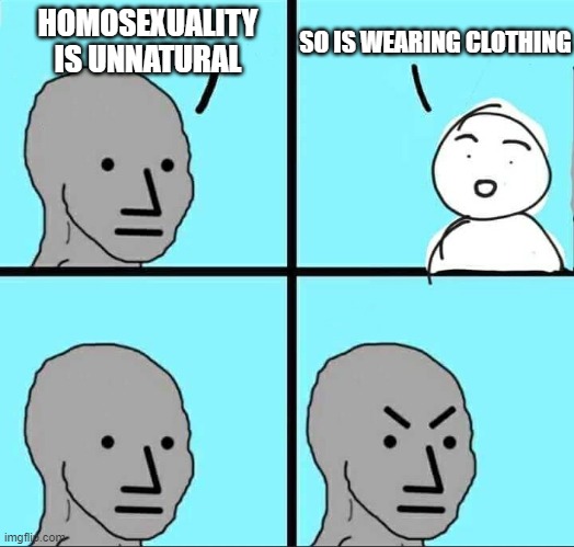 NPC Meme | HOMOSEXUALITY IS UNNATURAL; SO IS WEARING CLOTHING | image tagged in npc meme | made w/ Imgflip meme maker