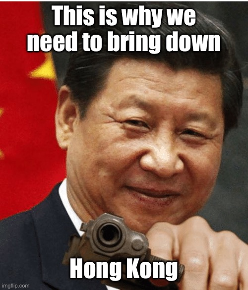 Xi Jinping | This is why we need to bring down Hong Kong | image tagged in xi jinping | made w/ Imgflip meme maker