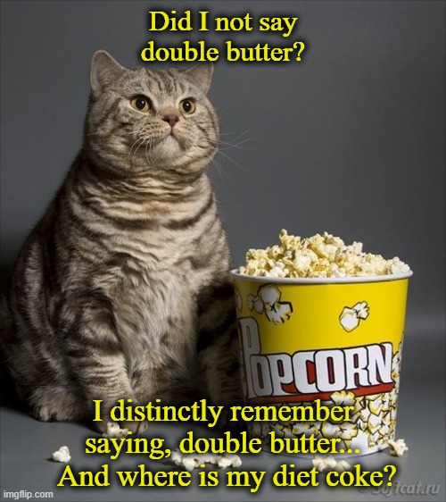 Angry cat |  Did I not say double butter? I distinctly remember saying, double butter...  And where is my diet coke? | image tagged in cat eating popcorn | made w/ Imgflip meme maker