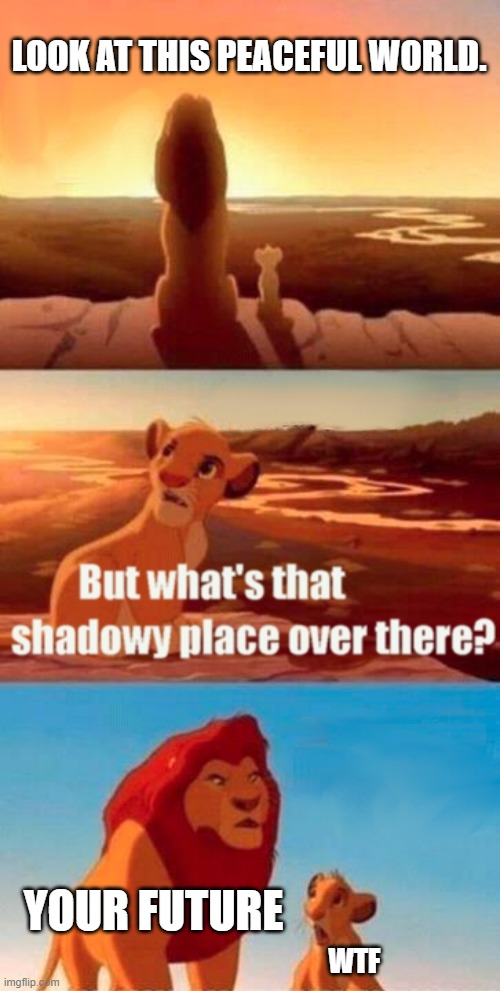 llion king | LOOK AT THIS PEACEFUL WORLD. YOUR FUTURE; WTF | image tagged in memes,simba shadowy place | made w/ Imgflip meme maker