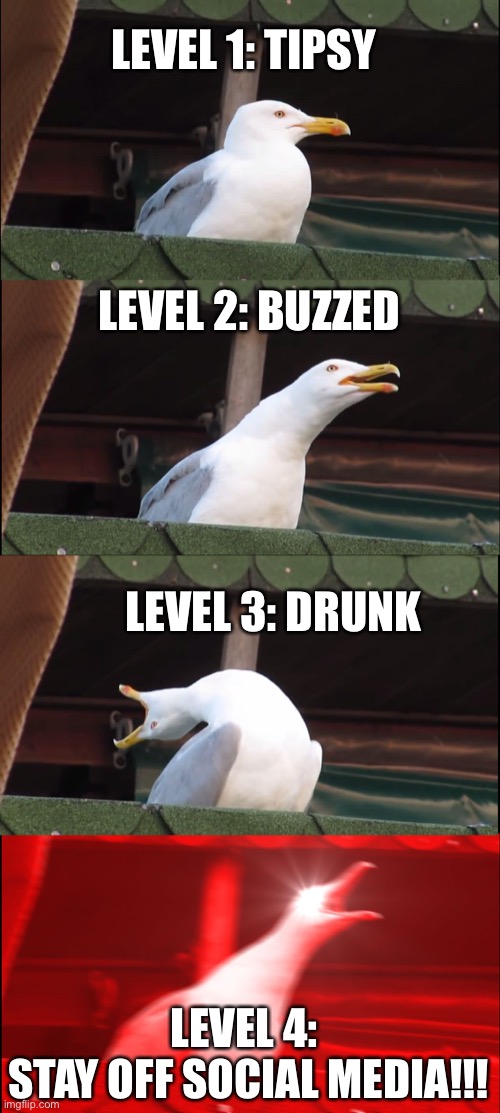 Drinking | LEVEL 1: TIPSY; LEVEL 2: BUZZED; LEVEL 3: DRUNK; LEVEL 4: 
STAY OFF SOCIAL MEDIA!!! | image tagged in memes,inhaling seagull | made w/ Imgflip meme maker