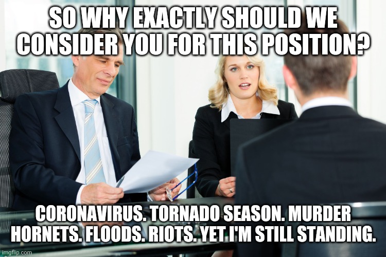 Bring on the Corona Hornets! | SO WHY EXACTLY SHOULD WE CONSIDER YOU FOR THIS POSITION? CORONAVIRUS. TORNADO SEASON. MURDER HORNETS. FLOODS. RIOTS. YET I'M STILL STANDING. | image tagged in job interview,coronavirus,2020,covid-19,quarantine | made w/ Imgflip meme maker