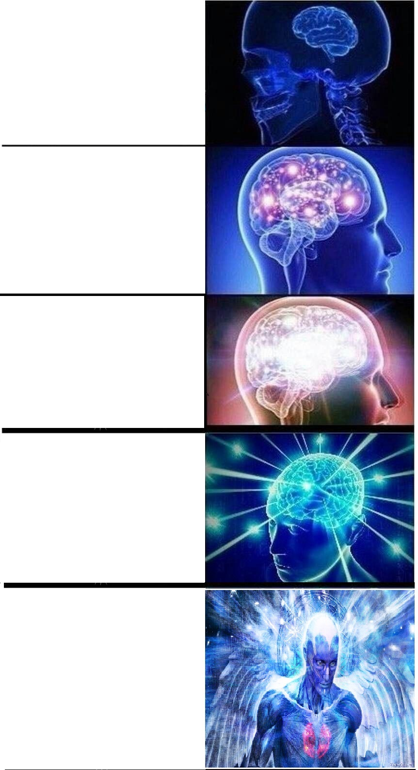 Expanding Brain 5 part Blank Meme Template