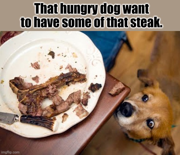 That hungry dog want to have some of that steak. | That hungry dog want to have some of that steak. | image tagged in dogs,dog,steak,hungry,food,memes | made w/ Imgflip meme maker