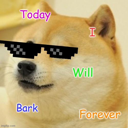 Intelligent dog | Today; I; Will; Bark; Forever | image tagged in memes,doge | made w/ Imgflip meme maker