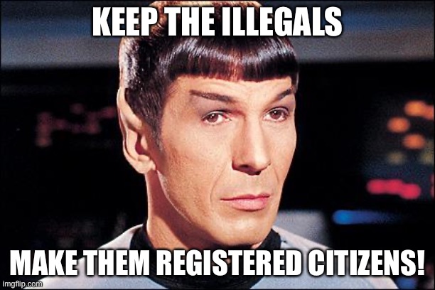 Condescending Spock | KEEP THE ILLEGALS MAKE THEM REGISTERED CITIZENS! | image tagged in condescending spock | made w/ Imgflip meme maker