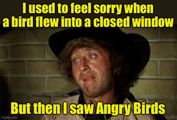 Who they calling a pig? | I used to feel sorry when a bird flew into a closed window; But then I saw Angry Birds | image tagged in gene wilder,angry birds | made w/ Imgflip meme maker
