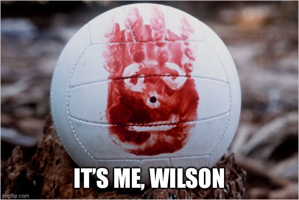 Wilson volleyball Castaway | IT’S ME, WILSON | image tagged in wilson volleyball castaway | made w/ Imgflip meme maker