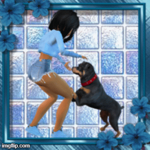 image tagged in gifs | made w/ Imgflip images-to-gif maker