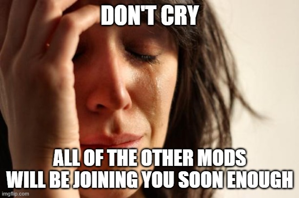 My final words to my dinner | DON'T CRY; ALL OF THE OTHER MODS WILL BE JOINING YOU SOON ENOUGH | image tagged in memes,first world problems | made w/ Imgflip meme maker