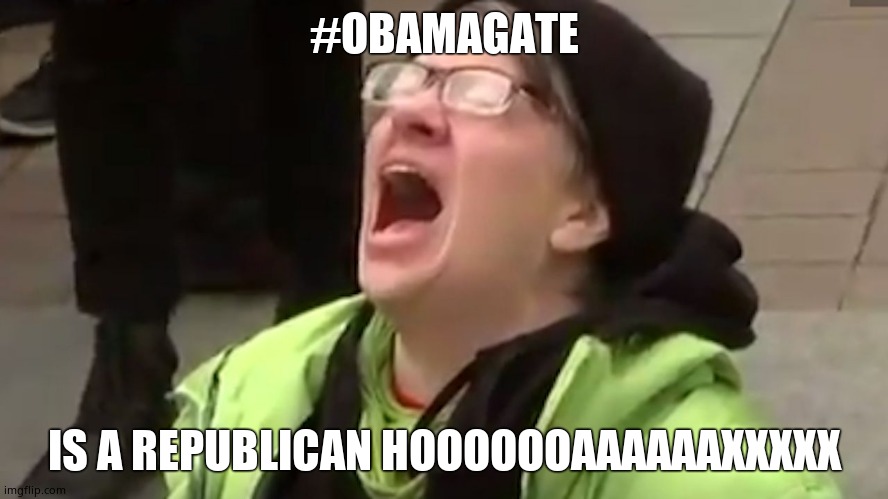 Screaming Liberal  | #OBAMAGATE IS A REPUBLICAN HOOOOOOAAAAAAXXXXX | image tagged in screaming liberal | made w/ Imgflip meme maker