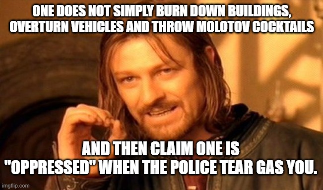 One Does Not Simply | ONE DOES NOT SIMPLY BURN DOWN BUILDINGS, OVERTURN VEHICLES AND THROW MOLOTOV COCKTAILS; AND THEN CLAIM ONE IS "OPPRESSED" WHEN THE POLICE TEAR GAS YOU. | image tagged in memes,one does not simply | made w/ Imgflip meme maker