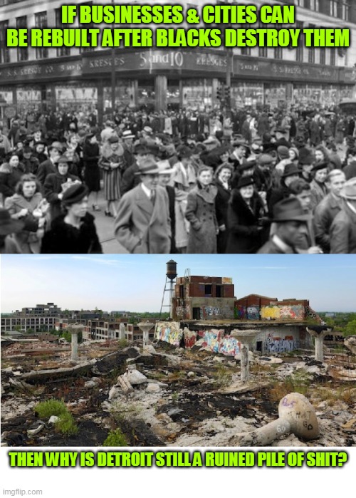 Among Other Permanently Destroyed Cities | IF BUSINESSES & CITIES CAN BE REBUILT AFTER BLACKS DESTROY THEM; THEN WHY IS DETROIT STILL A RUINED PILE OF SHIT? | image tagged in detroit,blm,ruin,riots | made w/ Imgflip meme maker