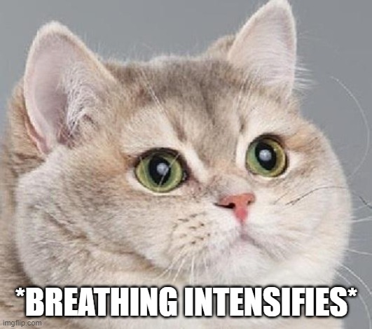 breathing intensifies | *BREATHING INTENSIFIES* | image tagged in breathing intensifies | made w/ Imgflip meme maker