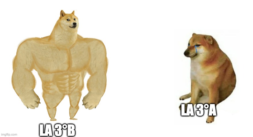 My middle school classes | LA 3°A; LA 3°B | image tagged in multi doge | made w/ Imgflip meme maker