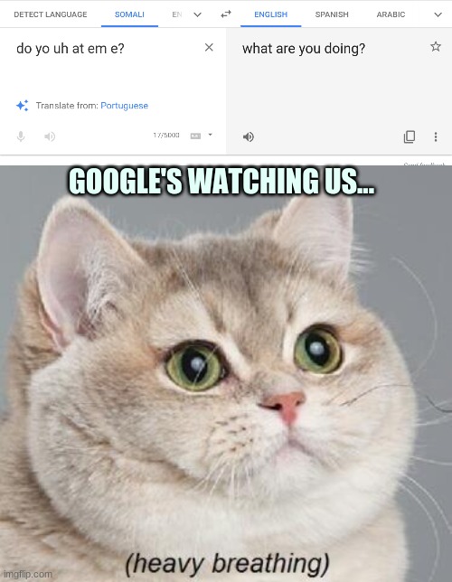 So help me... | GOOGLE'S WATCHING US... | image tagged in memes,heavy breathing cat | made w/ Imgflip meme maker