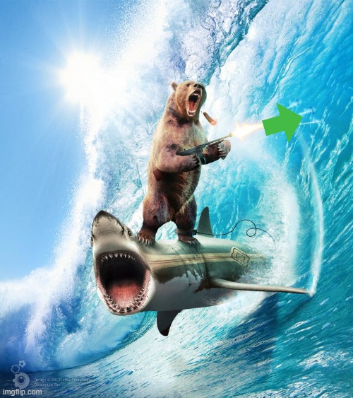 image tagged in bear riding shark | made w/ Imgflip meme maker