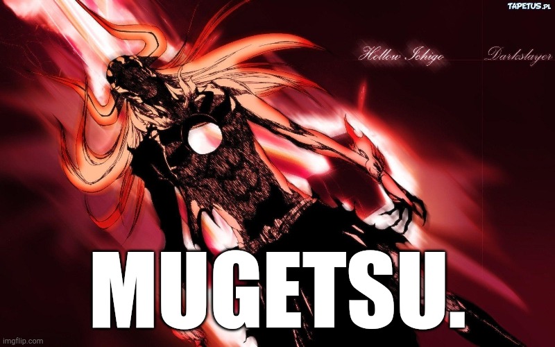 ichigo hollow | MUGETSU. | image tagged in ichigo hollow | made w/ Imgflip meme maker