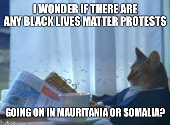 I Should Buy A Boat Cat Meme | I WONDER IF THERE ARE ANY BLACK LIVES MATTER PROTESTS; GOING ON IN MAURITANIA OR SOMALIA? | image tagged in memes,i should buy a boat cat,black lives matter,protest,africa,black people | made w/ Imgflip meme maker